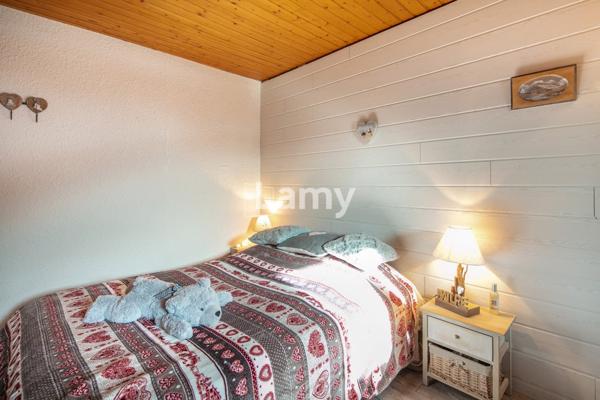 Appartement + parking + casier à skis