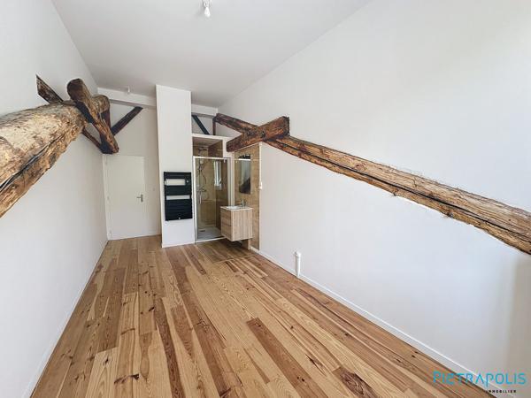 SUPERBE APPARTEMENT REFAIT A NEUF AVEC TERRASSE EN PLEIN CENTRE VILLE