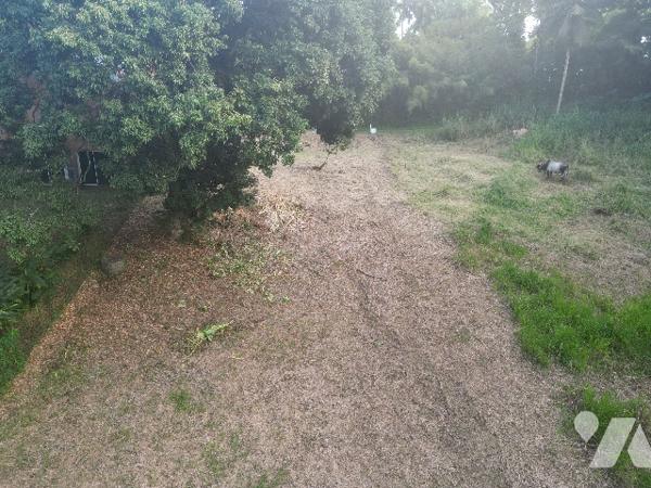 Terrain à vendre au Anse d'Arlets (97217) - Quartier le Hameau de Petite Anse.