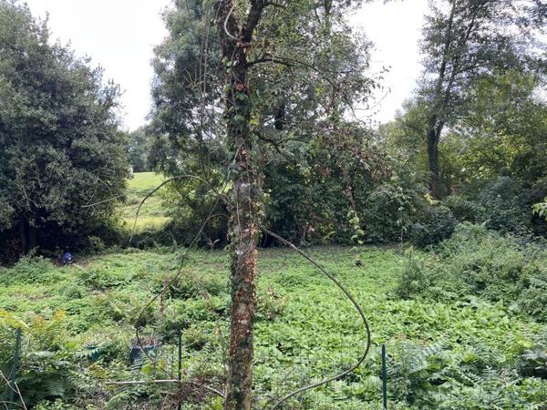 Maison à vendre |  Les Lucs-sur-Boulogne |  4 pièces | 200 m²