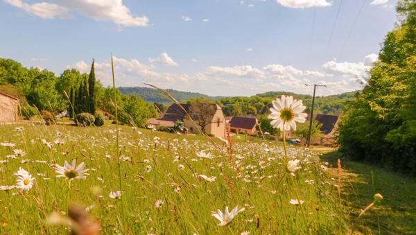 Terrain à bâtir viabilisé, Vitrac 24200, 2561 m², tout-à-l'égout et compteurs en place