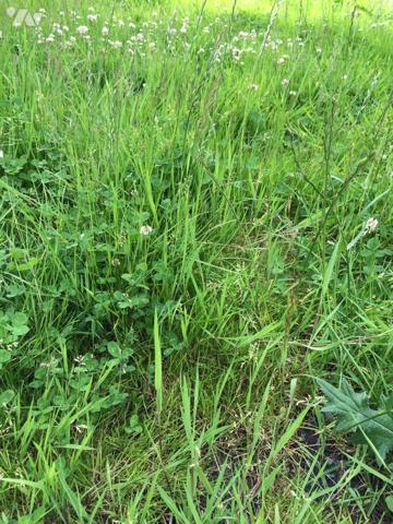 Terrain à SIGNY-LE-PETIT