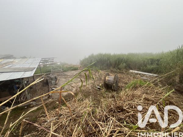 Terrain à vendre 850 m² Les Avirons