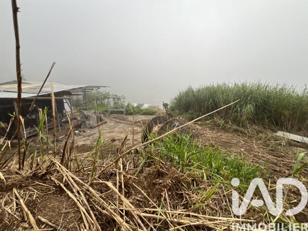 Terrain à vendre 850 m² Les Avirons