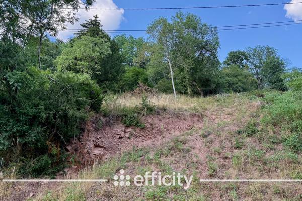 Terrain
        
        - 841 m² Exclusivité 165 000 € *
