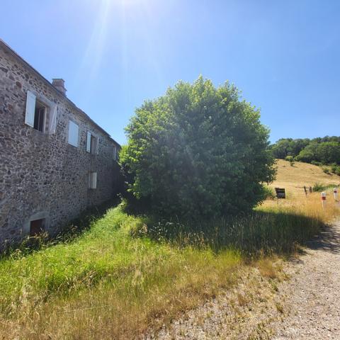 Belle maison en pierres lauzes et ardoises Apchon (15400)