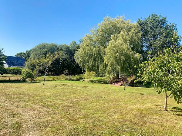 Terrain arbore au coeur de Noyal-Muzillac