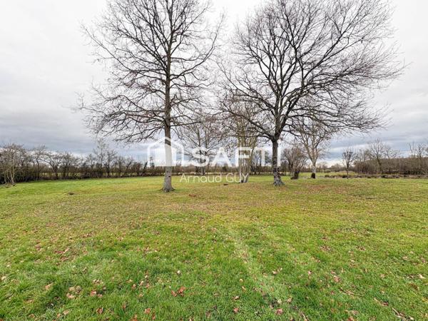 Beau potentiel d'agrandissement.