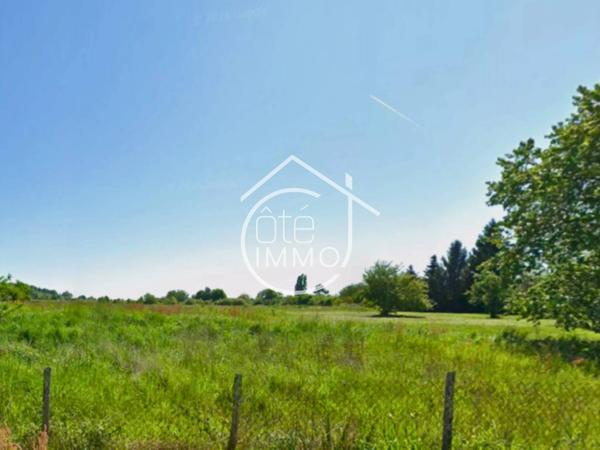 Vélines :  Opportunité rare pour aménageur, lotisseur, ou investisseur.