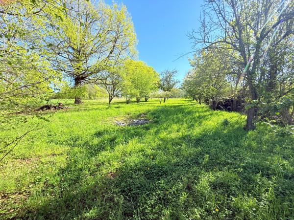 Maison plain pied 4 pièces avec dépendances