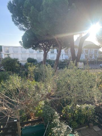 Appartement La Grande Motte 1 pièce(s) 24.98 m2