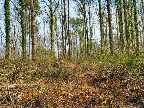 Terrain
        
        - 2357 m² 9 400 € *