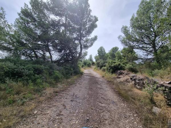 Terrain constructible non viabilisé au soleil d'OC