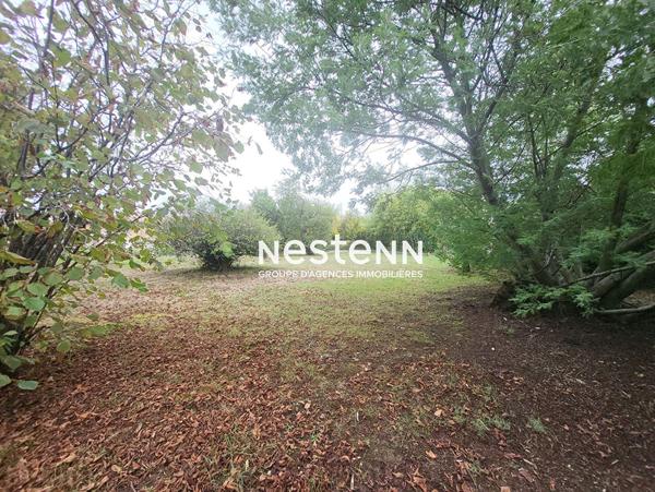 A VENDRE - EAUNES - TERRAIN VIABILISE 518 M²