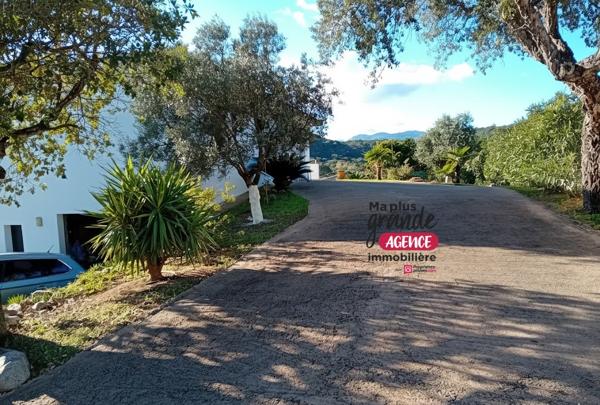 Maison T6  avec piscine - Sainte Lucie De Porto Vecchio  20144 - Corse du Sud  - FRANCE