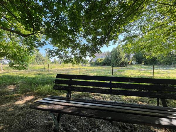 MAISON ILE DE CHALONNES AVEC PLUS D'UN HECTARE