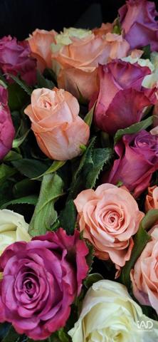 Boutique/Local commercial à vendre 50 m² Vélizy-Villacoublay