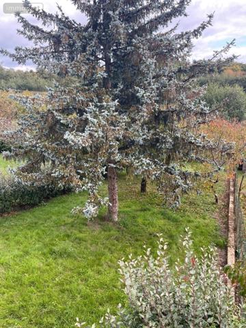 Maison à vendre à Courdemanche dans la Sarthe (72150), ref : 13816/1163   
Maison de santé