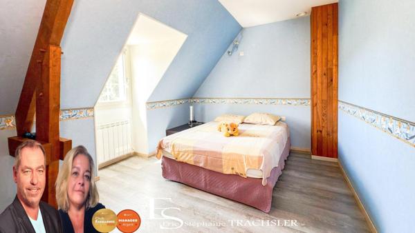 Propriété arboricole avec maison contemporaine, dépendances et bâtiments professionnels – 7,8 ha – Chenu (72)