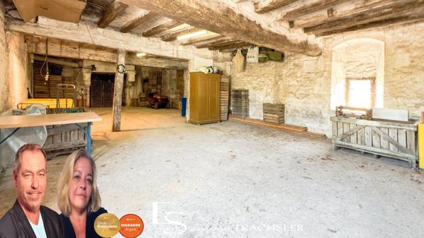 Propriété arboricole avec maison contemporaine, dépendances et bâtiments professionnels – 7,8 ha – Chenu (72)