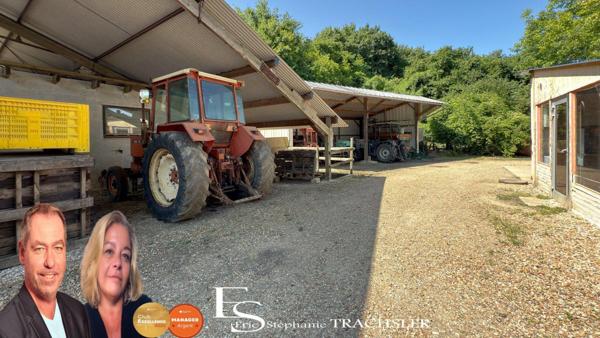 Propriété arboricole avec maison contemporaine, dépendances et bâtiments professionnels – 7,8 ha – Chenu (72)