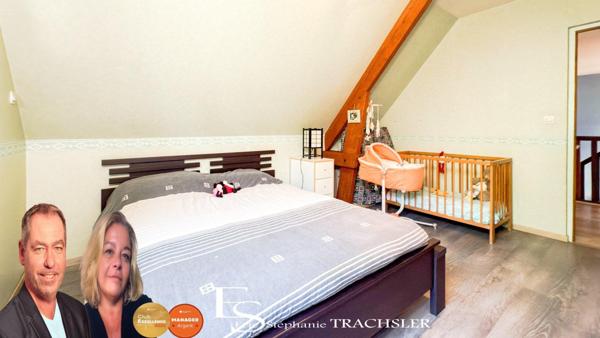 Propriété arboricole avec maison contemporaine, dépendances et bâtiments professionnels – 7,8 ha – Chenu (72)