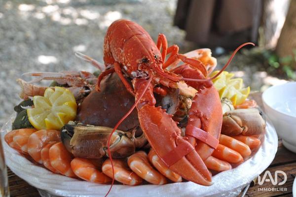 Restaurant à vendre 250 m² Saint-Pierre-d'Oléron