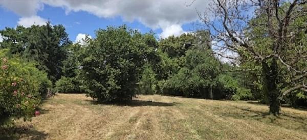 Terrain 23 000 € Montvicq 2900 m² DPE