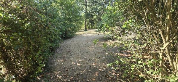 Terrain 23 000 € Montvicq 2900 m² DPE