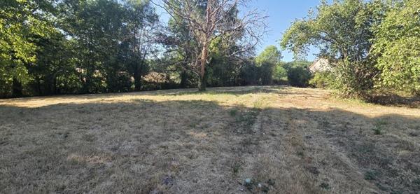 Terrain 23 000 € Montvicq 2900 m² DPE