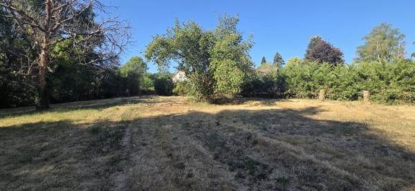 Terrain 23 000 € Montvicq 2900 m² DPE