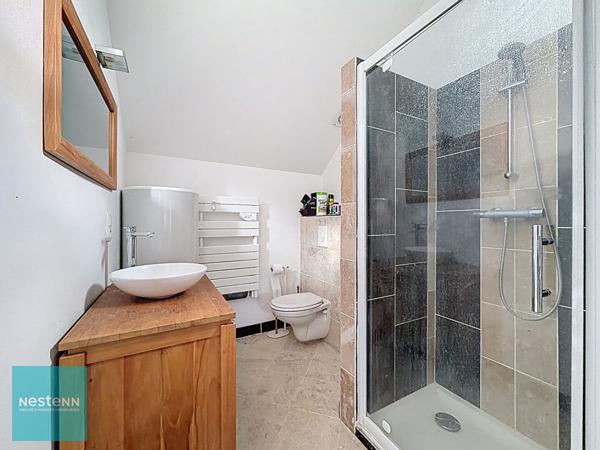 Maison familiale avec gîte sur 13 000 m² à Bléré