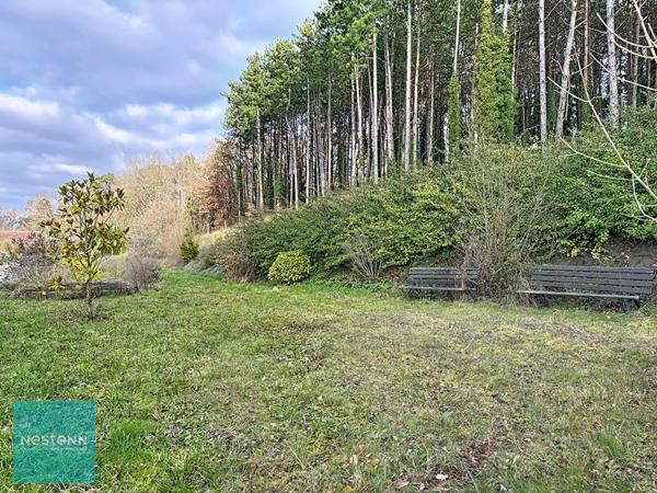 Maison familiale avec gîte sur 13 000 m² à Bléré