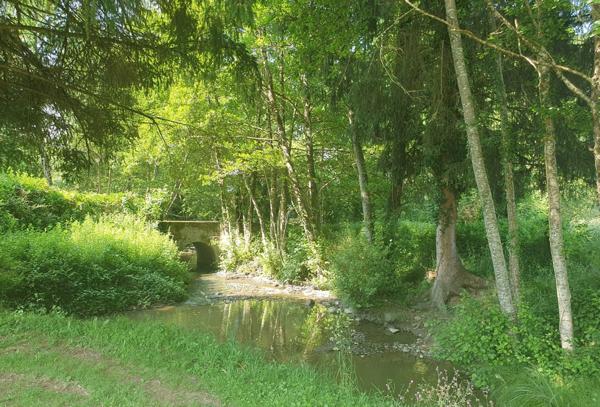 Belle camping avec maison d'habitation et 7.8ha de terrain