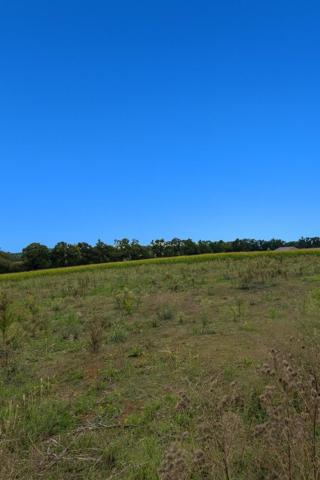 Vente / Terrain à Savigneux (01480)