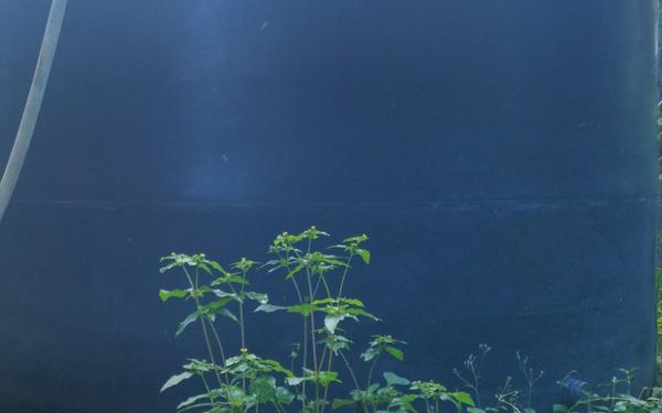 Maison à vendre    3 pièces • 129 m2 Sainte-Rose