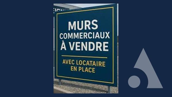 Murs 231.2 m2
