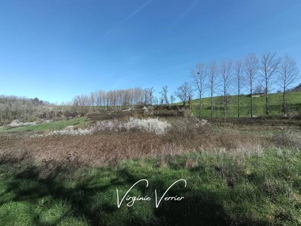 Terrain à vendre de 3 450 m²