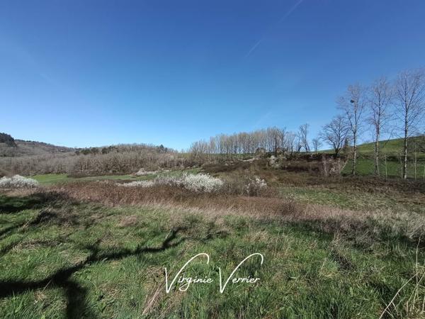 Terrain à vendre de 3 450 m²