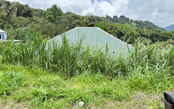 Terrain à vendre    Saint-Claude