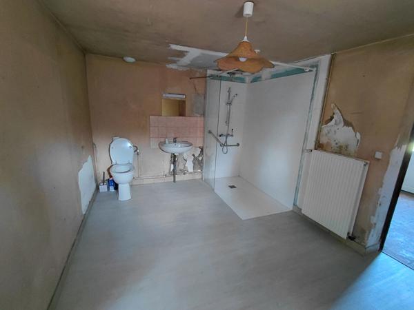 Maison à vendre à Preaux - Fermette avec grand terrain