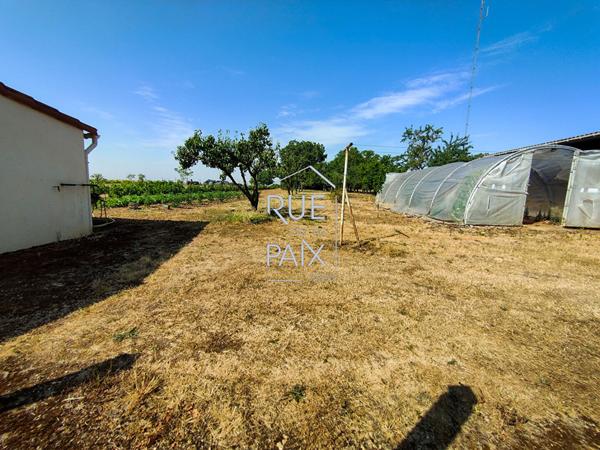 86330 LA GRIMAUDIERE Maison La Grimaudiere sur sous-sol total - 4390m² de terrain