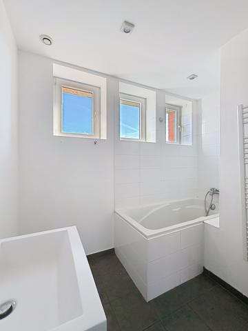 Appartement T3 - 75 m² habitables FACHES THUMESNIL