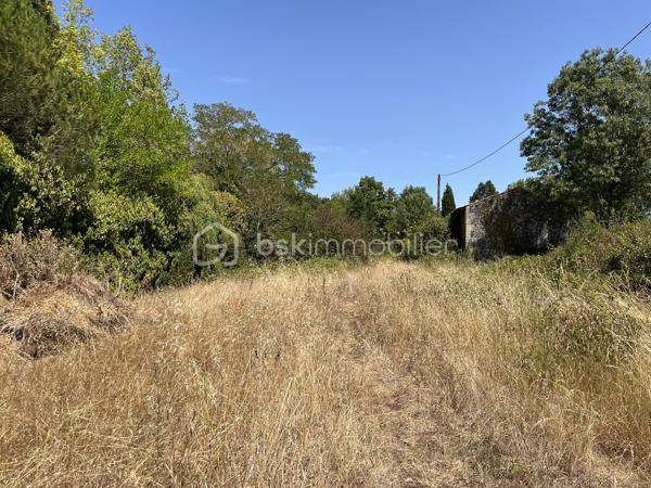 Surface et emplacement rare pour ce terrain viabilisé à Niort. Accès Sèvre à 200 m.
1997 m² libre de constructeur avec grange à réhabiliter.