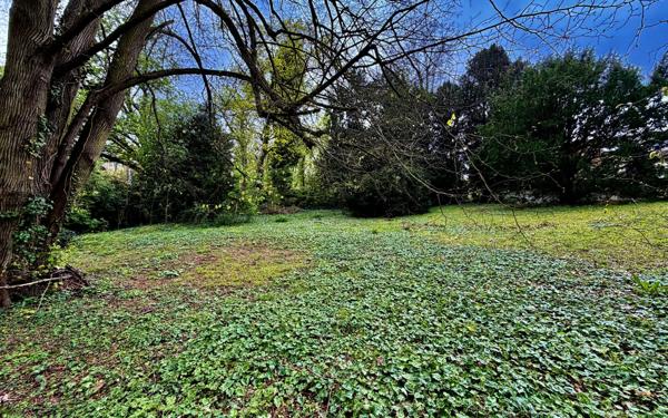 Terrain à vendre    Louveciennes