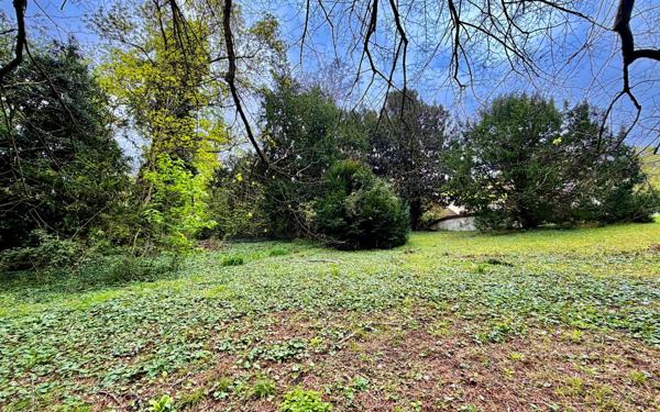 Terrain à vendre    Louveciennes