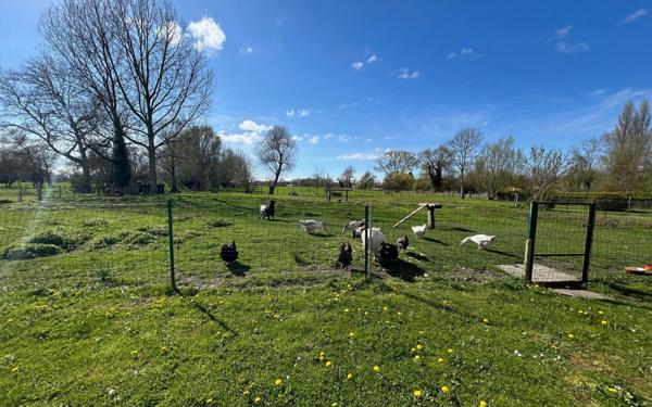 Maison à vendre    8 pièces • 250 m2 Rang-du-Fliers