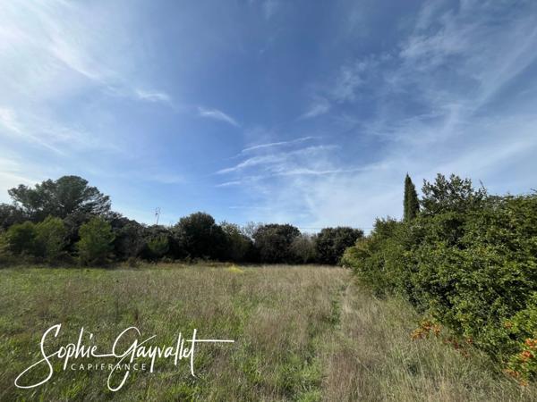 TERRAIN CONSTRUCTIBLE - EGUILLES _ Terrain de 3000m2 _ Libre Constructeur