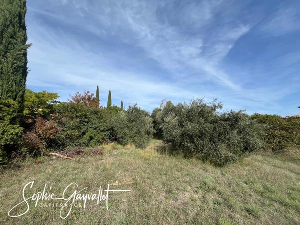 TERRAIN CONSTRUCTIBLE - EGUILLES _ Terrain de 3000m2 _ Libre Constructeur