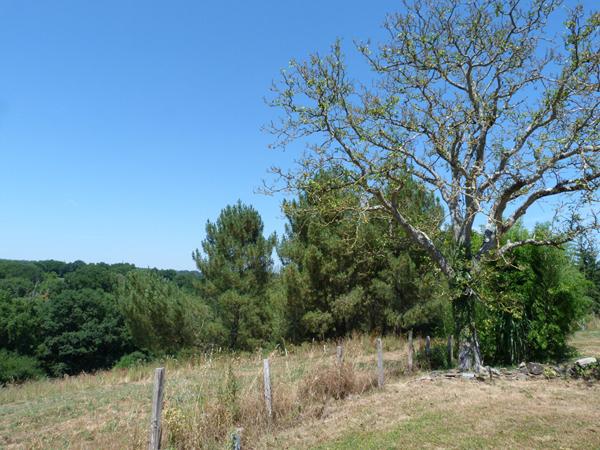 Campagne - Calme - Sans voisins , Le genest saint isle Campagne - Calme - Sans voisins , Le genest saint isle